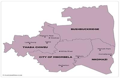 Socioeconomic determinants of modern climate change adaptation of small-scale vegetable farmers in Bohlabela District, Mpumalanga Province